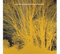 Nada Surf – The Stars Are Indifferent to Astronomy – CD (Boîtier Jewel Case)