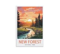 NAEGV Peinture par Numéros Adultes Affiche touristique du parc national de New Forest peinture acrylique par numéros pour dessin, décoration murale, cadeau 50x60cm