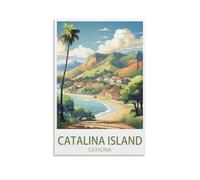 NAEGV peinture par numéros adultes Île de Catalina Catalina Paint by Numbers Kit avec peintures acryliques et pinceaux - Cadeau et décoration murale 30x40cm