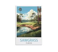 NAEGV Peinture par Numéros pour Adulte Sawgrass, Floride DIY Kit de Peinture, Peinture par Numéros pour Décoration de la maison 50x60cm