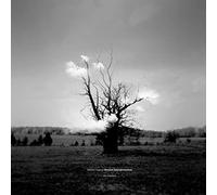 Dream Interpretation - Vinyle 33 Tours