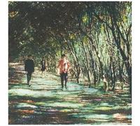 Nagisa Ni Te - Taiyou No Sekai (The True Sun) [Vinyl Lp]
