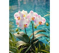 NAHUIGOOD Kit Broderie Point De Croix Pour Débutant,Orchidée 11Ct40X50Cm Canevas Kit Complet Adulte Canevas Broderie Point De Croix Kit Point De Croix Compté