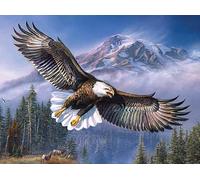 NAHUIGOOD Point De Croix Kit Complet Aigle 11Ct40X50Cm Point De Croix Canevas Enfant Punch Needle Kit Canevas Adulte Loisirs Créatifs Adultes