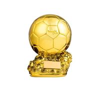 NaiiiL Trophée de Ballon de Football plaqué Or, Gravure Gratuite, Les Fans décorent des Cadeaux de Collection,25cm