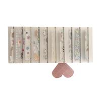 Nail Decor Case, Foil Storage Box, Manicure Organizer with Sectioned Layout System, Beauty Supply Holder with Transparent Lid Feature, Nail Accessory, Craft Storage for Artists Collectors Home Salon