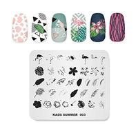 Nail Plaques de stamping Summer Theme Image Impression Modèles de conception Nature Plant Flamingo Monstera Plusieurs Motif Conception De Manucure Pochoir DIY Nail Art Outils de Stamping