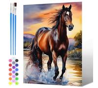 NAIMOER Peinture par Numero Chevaux Adulte Enfants, Peinture Numero Animaux pour Adultes, Pinceaux et Peintures Toile Cadeaux 30x40cm