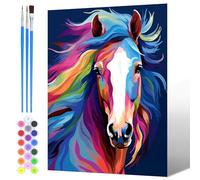 NAIMOER Peinture par Numero Colorés Chevaux Adulte Enfants, Peinture Numero Animaux pour Adultes, Pinceaux et Peintures Toile Cadeaux 30x40cm