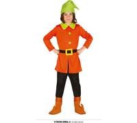 Nain de la forêt - Costume pour enfants taille 98 - 128, taille:110/116