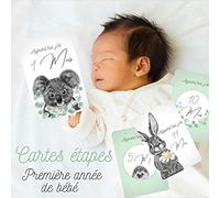 Naïris bijoux 12 Cartes étapes - La première année de bébé - Thème Dessin Animaux Bleu Vert