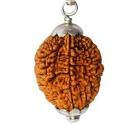 NAISHA 2 Rudraksha de l'Himalaya | Rudraksha à deux faces | Perles Rudraksha avec pendentif | 100 % original et certifié (produit spirituel et de guérison)., 2 Mukhi, Bois, rudraksh