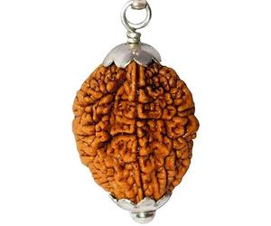 NAISHA 2 Rudraksha de l'Himalaya | Rudraksha à deux faces | Perles Rudraksha avec pendentif | 100 % original et certifié (produit spirituel et de guérison)., 2 Mukhi, Bois, rudraksh