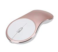 NAISHI Mini Souris USB sans Fil - avec Batterie au Lithium (doré)