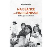 Naissance de l'indigénisme Le Mexique au XXe siècle - Romain Robinet - Puf - broché - Essai