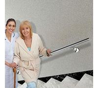 NAIZY Main Courante Escalier 80 cm Acier Inoxydable Garde-Corps Murale Rampe Extérieure & Intérieure pour Balcon Escalier