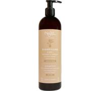 Najel Shampoing au Savon d'Alep pour Cheveux Secs - 500 ml