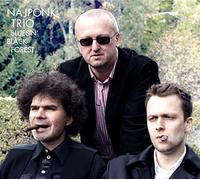 Najponk-Trio - Bluesin' Black Forest