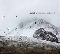 Nak Trio - The Other Side of If