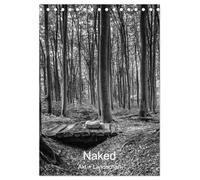 Naked: Akt + Landschaft (Tischkalender 2026 DIN A5 hoch), CALVENDO Monatskalender: Stimmungsvoller Fine-Art Aktbilder von Frauen in der Natur.
