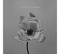 The Naked and Famous In Rolling Waves (CD) Album