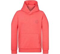 Naketano Sweat à capuche Theo's Lieblingspulli 2400-0002 L