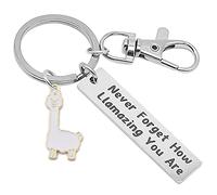 NAKUMICHA Porte-clés lama de motivation « Never Forget How Llamazing You are », cadeau lama pour femme, cadeau d'alpaga, cadeau pour amoureux des lamas, cadeau pour la famille, les amoureux des