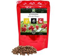 NAKURU | Schizandra | Gamme Boost | Fabriqué en France | "Le Fruit aux 5 Saveurs !" | (500 Gélules de 325mg / Poids Net: 162,5g)