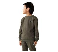 Name IT Garçon Nkmvimo Sweat Bru Noos Maillot De Survêtement, Rifle Green, 116 EU