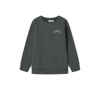 NAME IT Nkmkalle Ls Sweat Bru PS, Garden Topiary, 116