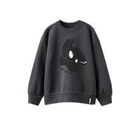 NAME IT Nkmskall Fortnite Nreg Sweat Bru Bfu, Fer forgé, 146-152 Garçon