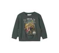 NAME IT Nmmjaba Jurassic Nreg Sweat Unb Sky, Garden Topiary, 116 Garçon
