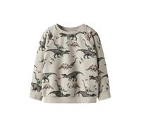 NAME IT Sweat 'NMMBertil' mastic / anthracite / olive / rouge, Taille 110