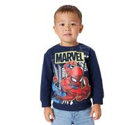 Name It Sweat-shirt Dion Spider Regular