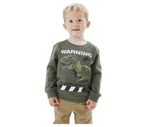 Name It Sweat-shirt Nat Jurassic