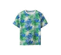 NAME IT T-Shirt 'NKMJAXON' bleu / vert / blanc, Taille 158-164