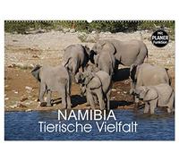 Namibia - Tierische Vielfalt (Planer) (Wandkalender 2026 DIN A2 quer), CALVENDO Monatskalender: Planer mit der Vielfalt der Tierwelt Namibias von den ganz kleinen bis zu den ganz großen Tieren.