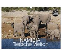 Namibia - Tierische Vielfalt (Planer) (Wandkalender 2026 DIN A3 quer), CALVENDO Monatskalender: Planer mit der Vielfalt der Tierwelt Namibias von den ganz kleinen bis zu den ganz großen Tieren.