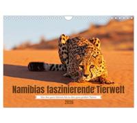 Namibias faszinierende Tierwelt (Wandkalender 2026 DIN A4 quer), CALVENDO Monatskalender: Lassen Sie sich von der einzigartigen Tierwelt Namibias faszinieren.