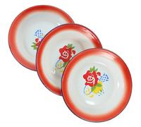 NAMOARLY Lot de 3 Assiettes Émaillées Vintage 20 Cm, Plat Rond Floral Rétro, Assiettes de Service pour Snacks, Fruits et Salades, Vaisselle Maison Rustique pour Repas et Fondue