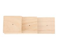 NAMOARLY Support D'exposition en Bois pour Spécimens D'insectes, Résistant et Sûr, Trou Central Fin, pour Collection et Laboratoire