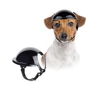 NAMSAN Casque de Chien Protection de la Tête Casque pour Animaux de Compagnie avec Trou d'oreille Tenue de Moto pour la Randonnée, Le Cyclisme, la Conduite