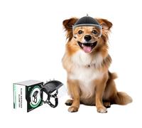 NAMSAN Casque de moto pour chien avec lunettes de protection anti-UV - Casque de vélo pour petits chiens - Avec visière (avec rivets)