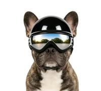 Namsan Casque pour chien de petite taille avec lunettes de soleil pour chiens de petite et moyenne taille, casque de chien avec trous d'oreille, casque de conduite en plein air, cyclisme, lunettes
