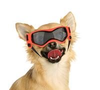 Namsan Lunettes de Protection des Yeux pour Chien - Lunettes de Soleil Facile à Mettre Stylées pour Petits/Moyens Chiens Orange