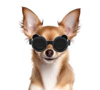 NAMSAN Lunettes de Soleil pour Petits Chiens Protection des Yeux pour Chien avec Cadre Rond Protection Contre Le Vent Protection UV Lunette Moto pour Chien - Noir