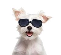 NAMSAN Lunettes pour Chiens Anti-UV pour Chien,Lunettes pour Animaux de Compagnie avec Sangles Réglables pour Chats Petits Chiens-Noir