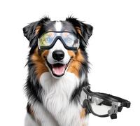 NAMSAN Lunettes pour Chiens Protection des Yeux à l'extérieur Sangle Réglable Facile à Mettre Lunettes de Soleil pour Animaux de Compagnie-Transparent