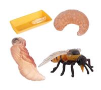 Namvo Ensemble de 4 Figurines d'insectes du Cycle de Vie des Abeilles Adaptateur éducatif réaliste pour l'apprentissage préscolaire, modèle de Cycle de Croissance des Insectes, Aide pédagogique