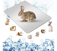Namvo été Cool Plaque Coussin de Refroidissement Tapis de Hamster lit de Glace pour Petit Animal de Compagnie Lapin Totoro Cochon d'Inde 30 * 20 cm/11.8 * 7.8 Pouces